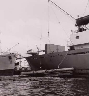Beladen der MS "Wittenberg" : Abidjan (Elfenbeinküste), Beladen der MS "Wittenberg" mit Stammholz, um 1960