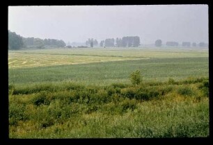 Havelland b. Paretz 6.6.79.