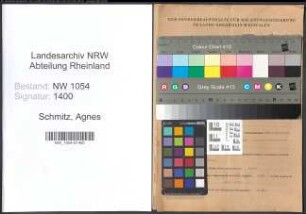 Entnazifizierung Agnes Schmitz , geb. 20.04.1889 ()