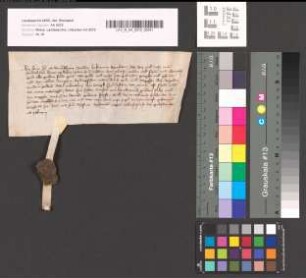 Bove, Herr von Friemersheim, Ritter, schuldet dem Ritter Johann von Moers 20 Gulden und 3 Malter Roggen. Datum des gudesdaichs na palmen.