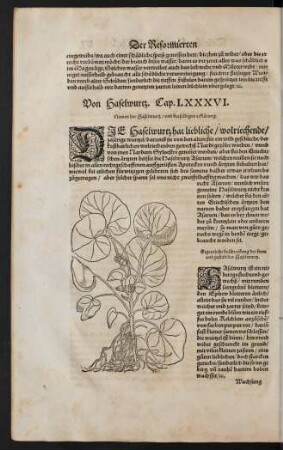 Von Haselwurtz. Cap. LXXXVI.