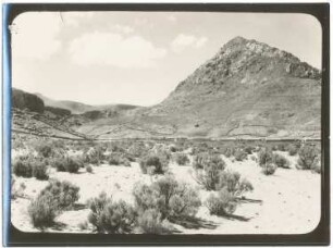 Alcaya mit Bewässerungs- und Temporalfeldern und der Cerro Pandurani bei Salinas de Garcí Mendoza