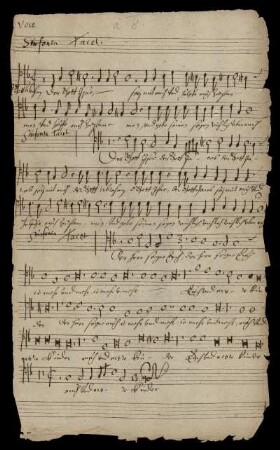 Voce (Tenore)