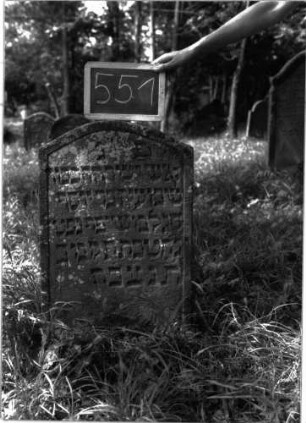 Grabstein 551 (Index: 100102527) Material: Sandstein Zustand: gut erhalten Maße HxBxT: 82x49x7 cm Beschreibung: Stele, unregelmäßiger Segmentbogenabschluss, Schriftfeld eingetieft: Grabstein 551