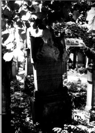 Grabstein 676