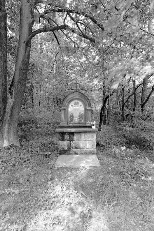 Fluraltar (Fluraltar); Eiterfeld, Am Herrnberg