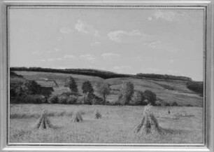 Feld bei Niederwalgern