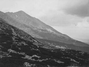 Berghang : Blick auf einen Berghang