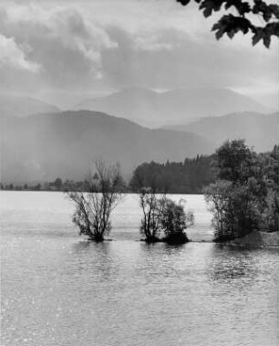 Blick auf den Kochelsee