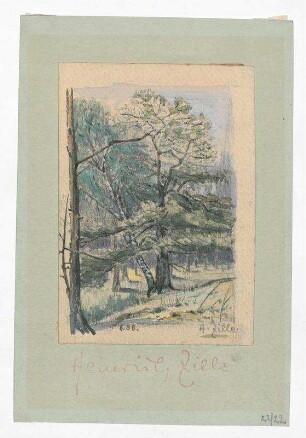 Landschaft mit Bäumen