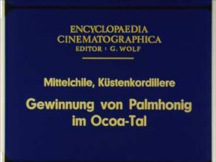 Mittelchile, Küstenkordillere - Gewinnung von Palmhonig im Ocoa-Tal