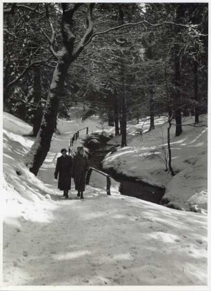 Waldspaziergang im Schnee (Nähe Donoperteich?)