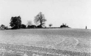Wermsdorf-Mahlis. Blick zum Windmühlenberg