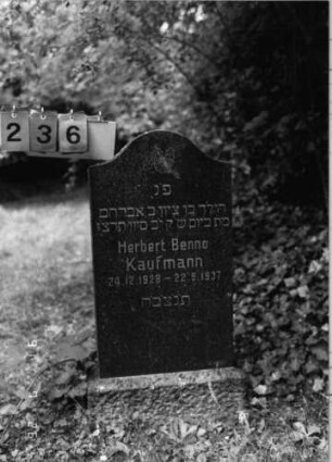 Grabstein 236