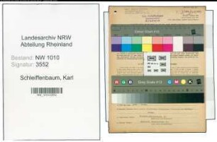 Entnazifizierung Karl Schleiffenbaum , geb. 04.03.1888 (Schreinermeister)