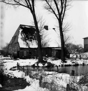 Schuhwiese: Dorfteich: dahinter Reetdachkate mit Bäumen: Winter