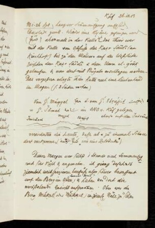 17r-21v 26.IX.-27.IX.1883 Kaf, mit aquarellierten Zeichnungen