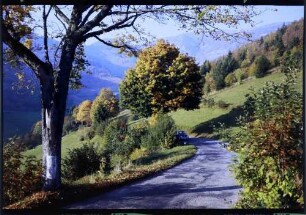 Neuenweg: farbige Laubbäume an der Straße, Hintergrund Belchen