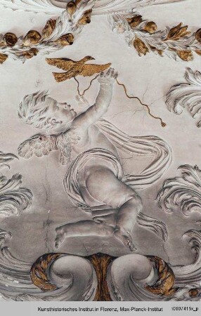 Putti : Putti als Allegorien der Elemente : Putto mit Taube als Allegorie der Luft