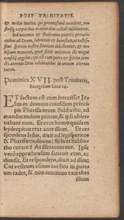 Dominica XVII. post Trinitatis ...