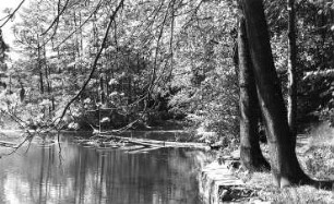 Nossen-Heynitz. Oberster Teich unterhalb des Schlosses, ehem. Wasserreservoir der Gutsmühle