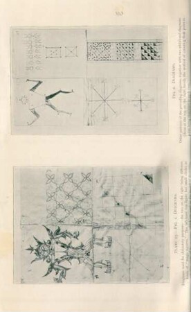 Plate 25. - Fig. 1. Diagrams. Fig. 2. Diagrams