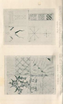 Plate 25. - Fig. 1. Diagrams. Fig. 2. Diagrams