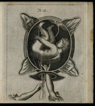 Illustration No. 11. - Illustration No. 15.