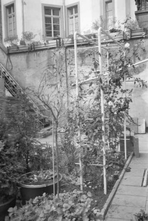 Hinterhofwettbewerb des städtischen Gartenbauamts zur Verbesserung und Begrünung von Innen- und Hinterhöfen