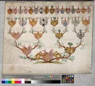 Proband: Fuchs von Bimbach und Dornheim, Anna Maria Theresia; Vater: Fuchs von Bimbach und Dornheim, Johann Philipp Dietrich Ernst; Mutter: Würtzburg, Maria Theresia von: Neuenheerse, Stift