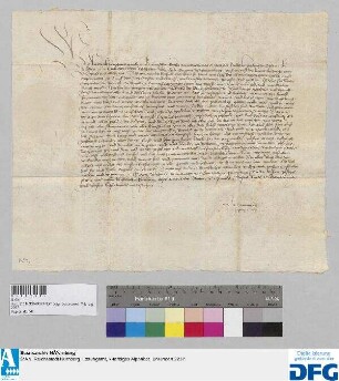 Kaiser Friedrich III. gebietet dem Grafen Ulrich von Württemberg, über die Beobachtung der Bamberger Richtung zu wachen.