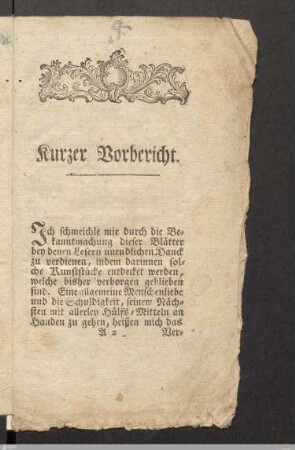 kurzer Vorbericht.