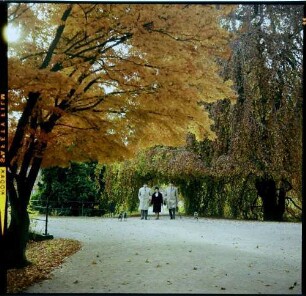 Baden-Baden: herbstlicher Park, Lichtentalerstraße