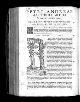 Petri Andreae Matthioli Medici Senensis Commentarii, In Lib. Tertium Pedacii Dioscoridis Anazarbei, De Medica Materia