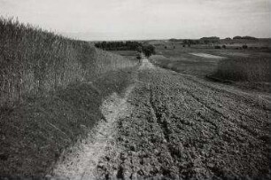 Jershöft