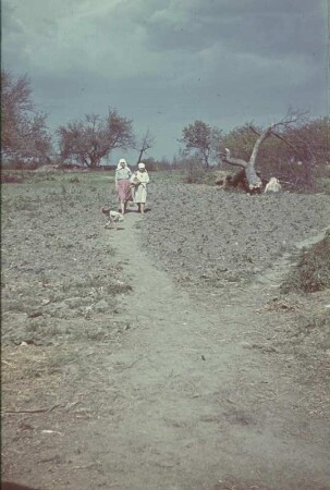 Zweiter Weltkrieg. Sowjetunion. Zur Einquartierung (wahrscheinlich in der Ukraine). Zwei Bauernmädchen mit Balalaika auf einem Feldweg