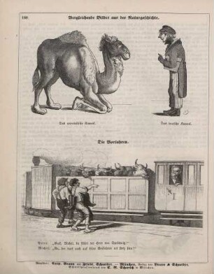 "Vergleichende Bilder aus der Naturgeschichte" "Die Vorfahren"