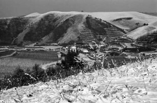 Vogtsburg: Verschneiter Kaiserstuhl, Badberg, Vordergrund Reben