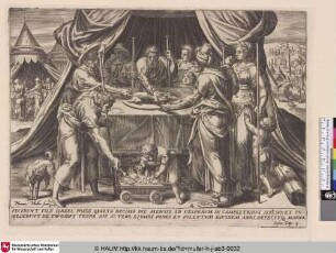 [Das Feiern des Passahfestes im gelobten Land; The celebration of passover in the promised land]