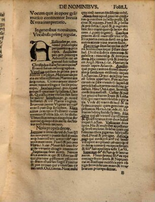 Vocabulari[us] Ioannis Altenstaig Mindelhaimensis : Vocum qu[a]e in opere grammatico plurimorum continentur, breuis & vera interpretatio