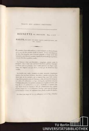 32. Reinette de Bretagne. Duh.-J.I.P. Malus, fructu medio, basi apicique compresso, maculis fuscis notato, acidè dulci, autumnali.