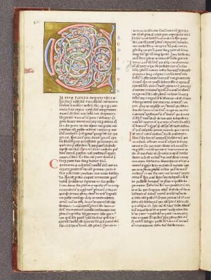 [Pelagius: Libellus Fidei Ad Innocentium Papam] hier. ep. 16