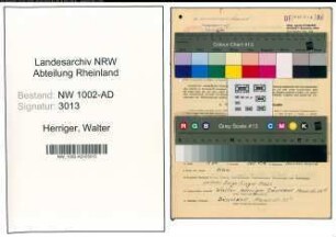 Entnazifizierung Walter Herriger, geb. 05.12.1890 (Angest.)
