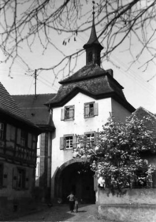Burkheim: Gasse hinab mit Blütenbaum