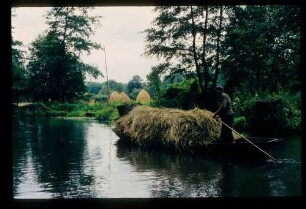 Spreewald 26.7.84.