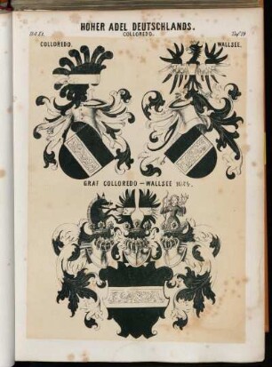 Taf. 19. Colloredo. Colloredo. Wallsee. Graf Colloredo - Wallsee 1624.