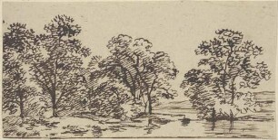 Landschaft mit Bäumen