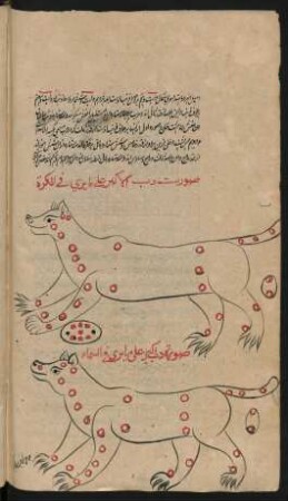 Illustration: Sternbild des großen Bären