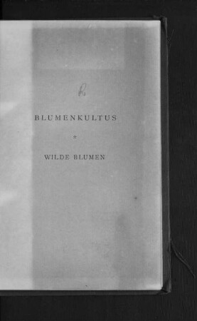 Blumenkultus : wilde Blumen