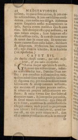 36-47, Caput XVI - XIX